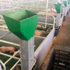 Sow Max Feeder